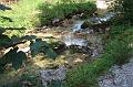 2011-08- (361)